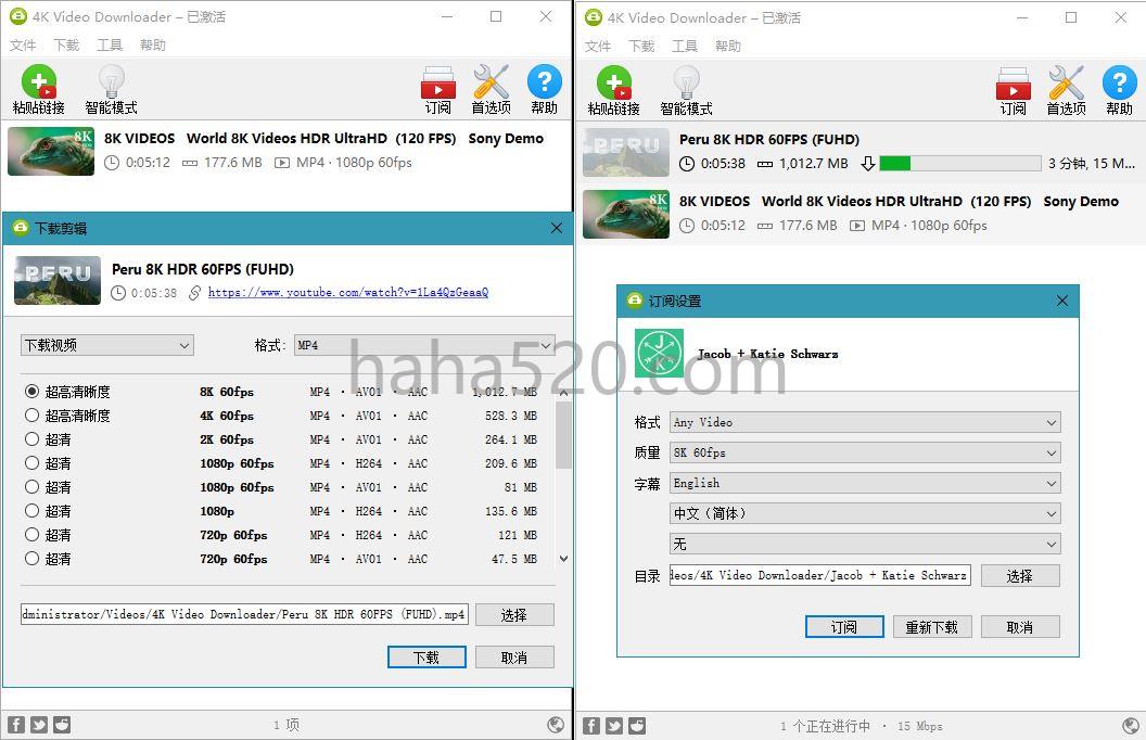 4K Video Downloader_v4.30.0.5651破解版(4kvideodownloader安卓版下载)